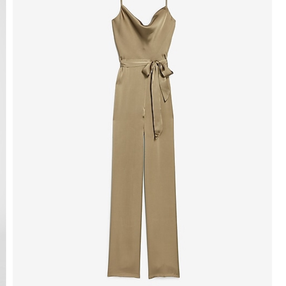 Express Tan Jumpsuit